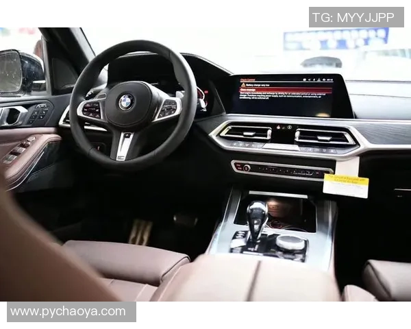 莱奥的传奇之路：从少年梦想到世界舞台的璀璨辉煌