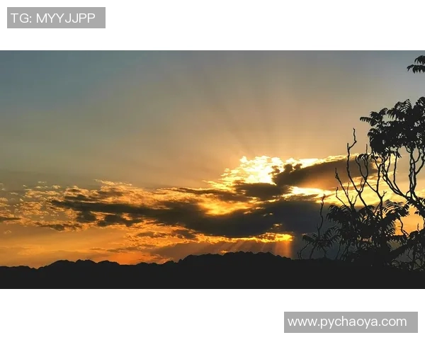 萨林杰的文学魅力与人生哲学探讨：从孤独到自我救赎的心灵之旅