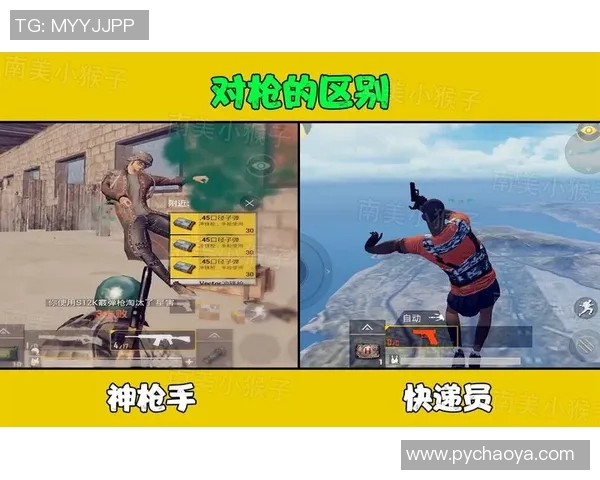 袭击者与枪手的对决背后隐藏的真相与社会影响分析