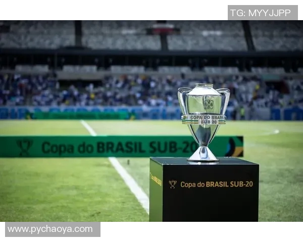 圣保罗对阵戈亚斯精彩直播全程回顾与赛后分析