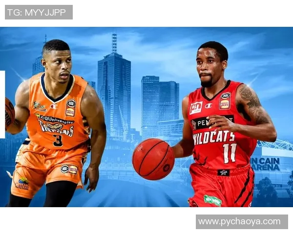 坎斯大班与波斯野猫的精彩对决揭示了足球战术的博弈与激情的碰撞