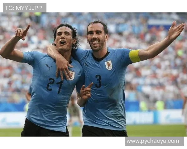 巴拉马与北爱之间的比赛比分预测分析及赛前展望