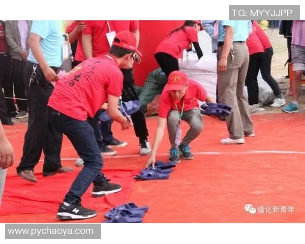 张帆：在新时代背景下探索青年成长与发展的多元路径与挑战