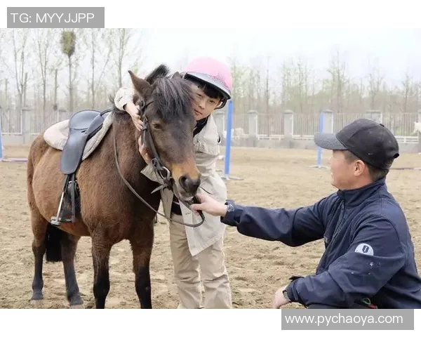 飞盘之路:刘伟如何在深度对话中重塑人生与梦想MBA 飞盘之路:刘伟如何在深度对话中重塑人生与梦想MBA