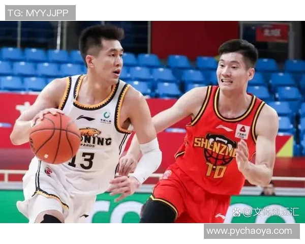 CBA辽宁队对阵深圳队精彩比赛视频回顾与分析，尽享篮球盛宴