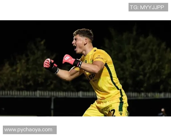 伊普斯维奇主场迎战吉林汉姆期待精彩对决与胜利之路