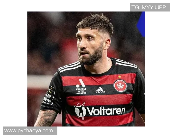 哈卡与奥卢精彩对决直播全程回顾与赛后分析