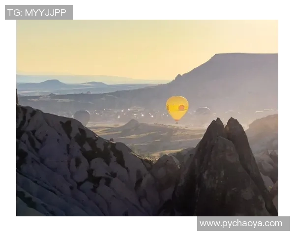 尼古拉武切维奇的艺术人生与创作历程探索