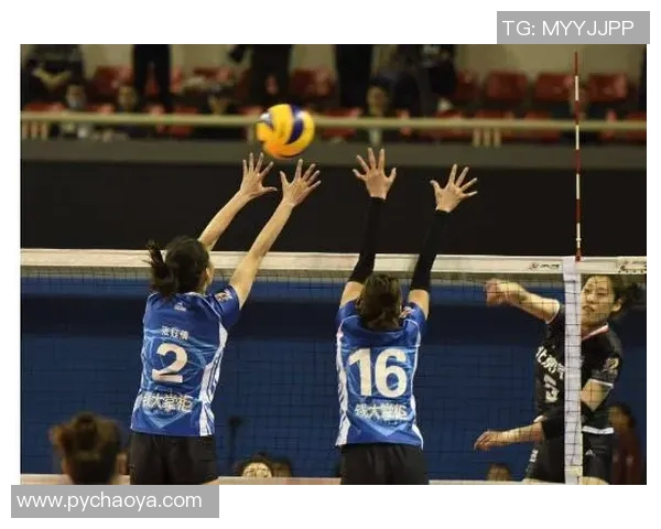 成都排球队在全国锦标赛中的默契配合与战术执行分析