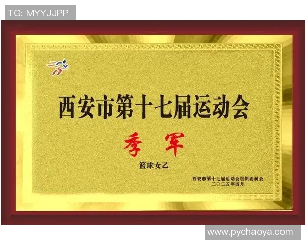 西安篮球队个人能力全解析：从技术到战术的深度剖析