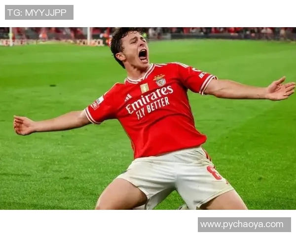 若昂内维斯：从新星崛起到球队核心的华丽转身与未来展望