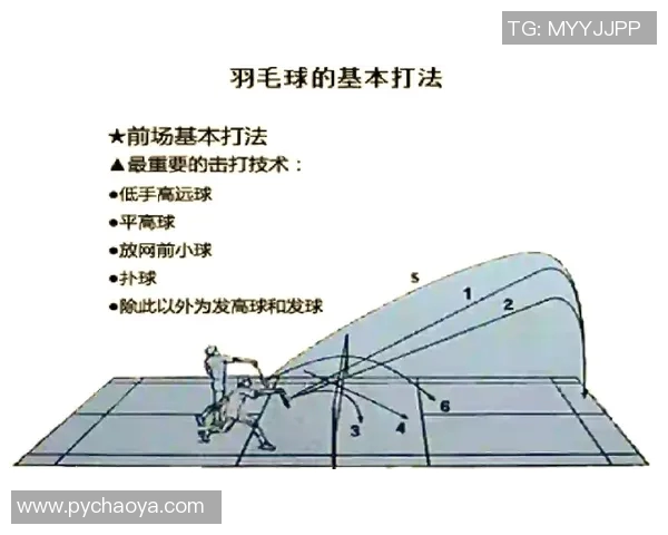 杭州羽毛球队进攻体系解析与战术运用探讨